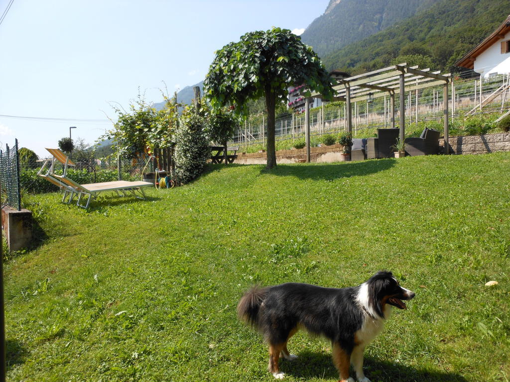 Haus Tirol Apartment Caldaro Exterior photo